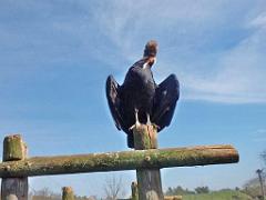 149 BIO PARC DE DOUE LA FONTAINE 6- 2016_000023